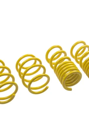 Order Now ST Lowering Springs Ford Mustang V8