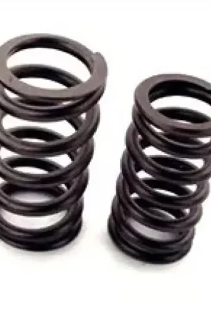 Ferrea 2014 Polaris RZR XP 1000 25.19mm OD 18.3mm ID Single Valve Springs - Set of 8 Top Pick