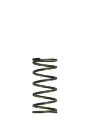 Time-Limited Turbosmart Gen-V WG60 5psi Purple Inner Spring — PMD Premier Motoring Development