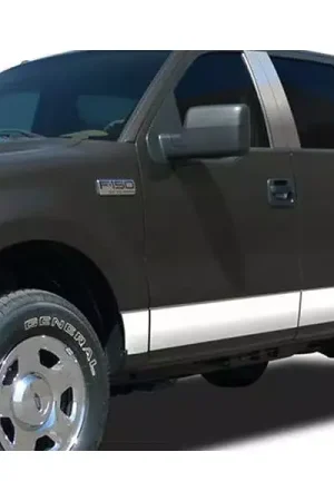 Buy Online ICI Stainless Steel Rocker Panels T4139-304M | RealTruck