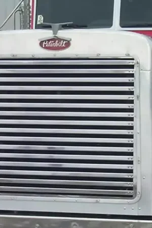 Best Price RoadWorks Grille Insert 35101 | RealTruck
