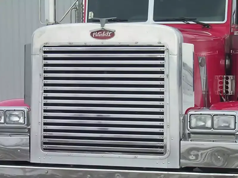 Best Price RoadWorks Grille Insert 35101 | RealTruck