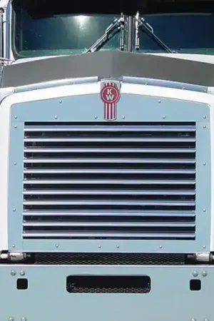 Factory Price RoadWorks Replacement Grille Insert 45302 | RealTruck