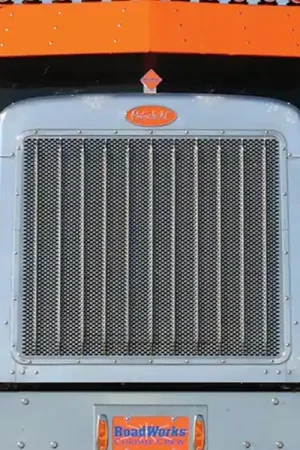 Trusted Brand RoadWorks Punched Grille Insert N35239-36 | RealTruck