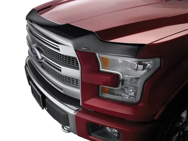 WeatherTech 2013+ Toyota Rav4 Hood Protector - Black Shop Now