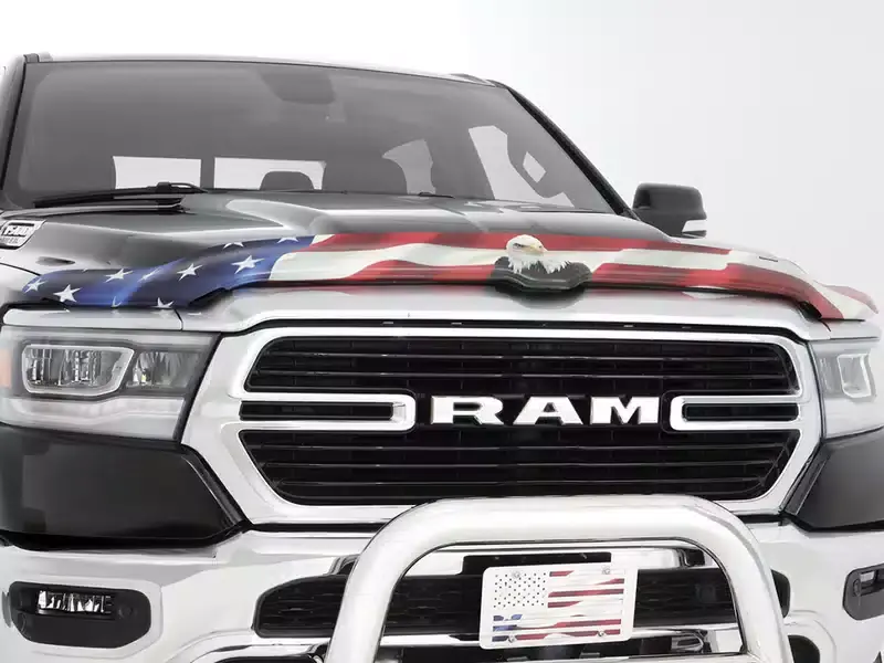 One Day Deal Stampede US Flag Bug Shield 2241-30 | RealTruck