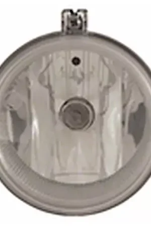 Replacement Fog Light Assembly; Passenger Side Budget