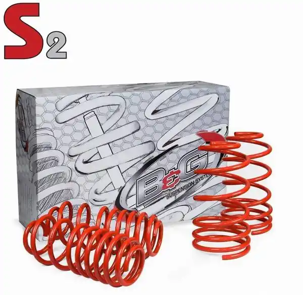 Pontiac Firebird B&G S2 Sport Lowering Suspension Springs - 12.1.007 Order Now