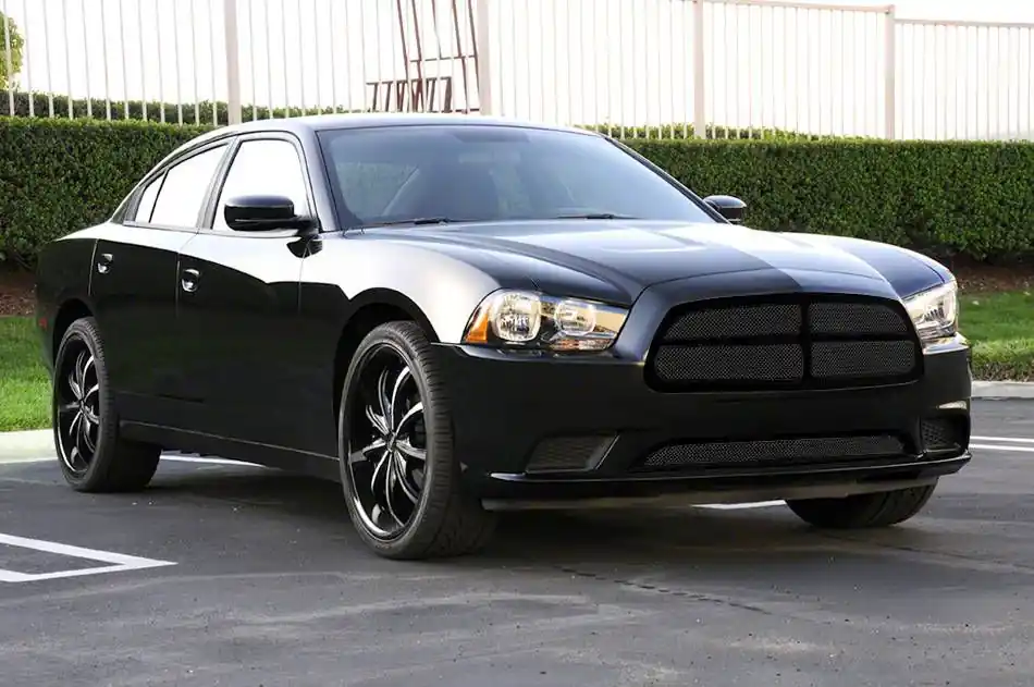 T-REX Grilles Upper Class Series Mesh Upper Grille; Black Money Back Guarantee