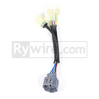 Rywire OBD0 to OBD2B 8-Pin Distributor Adapter - RY-DIS-0-2-8-PIN Order Now