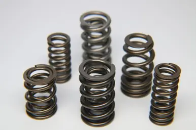 Ferrea Mitsubishi 6G72/6G72T Dual Valve Spring - Single - S10037-1 Bulk Order
