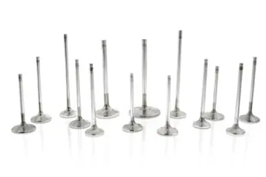 Ferrea Chyrsler Big Block 1.6 Head 5/16 Stem Dia 6000 Series Competition Exhaust Valve - Set of 8 - F6290 Brand New
