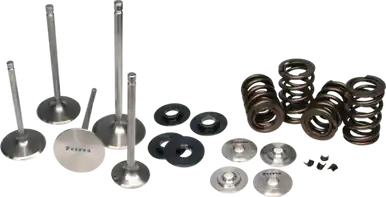 Direct From Manufacturer Ferrea Dodge Viper Gen 4/5 Beehive Spring Kit - KT4031