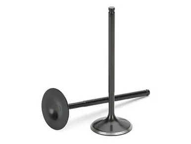 Supertech Nissan RB25 24V DOHC (w/Hydraulic Lifters) Blk Nitrided Intake Valve - +1mm OS - Set of 12 - NIVN-1052-12 Factory Price