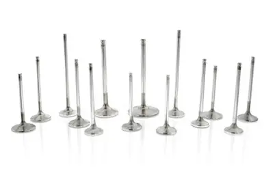 Today Only Ferrea Chevy SB 1.6in 11/32 5.160in 0.25in 0in +.250 Comp Plus Exh Valve - Single (D/S Only) - F1811P-1