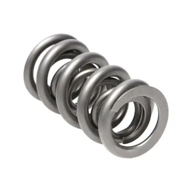 Manley Valve Spring, SPRING-1.500 DOUBLE - 221457-16 Secure Checkout