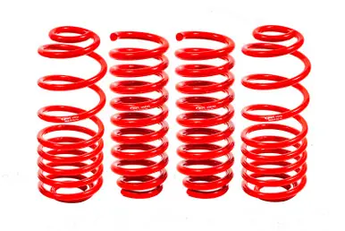 BMR 02-09 Trailblazer Lower Springs Set of 4 2in-3in Drop Red - SP640R Order Now