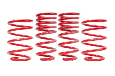 BMR 08-09 Pontiac G8 1.0in Drop Lowering Springs (Set of 4) - SP300R High Quality