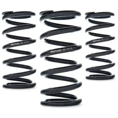 AST Linear Race Springs - 300mm Length x 50 N/mm Rate x 61mm ID - Set of 2 - AST-300-50-61 Holiday Sale