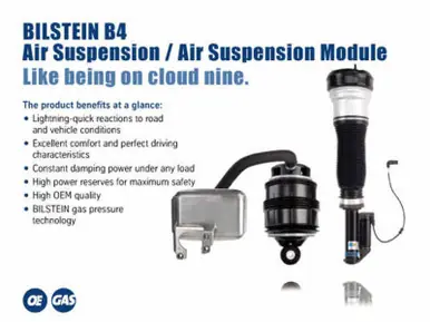 Buy Today Bilstein B4 04-06 Mercedes-Benz E500 4Matic Leftt Rear Twintube Strut Assembly - 26-220048